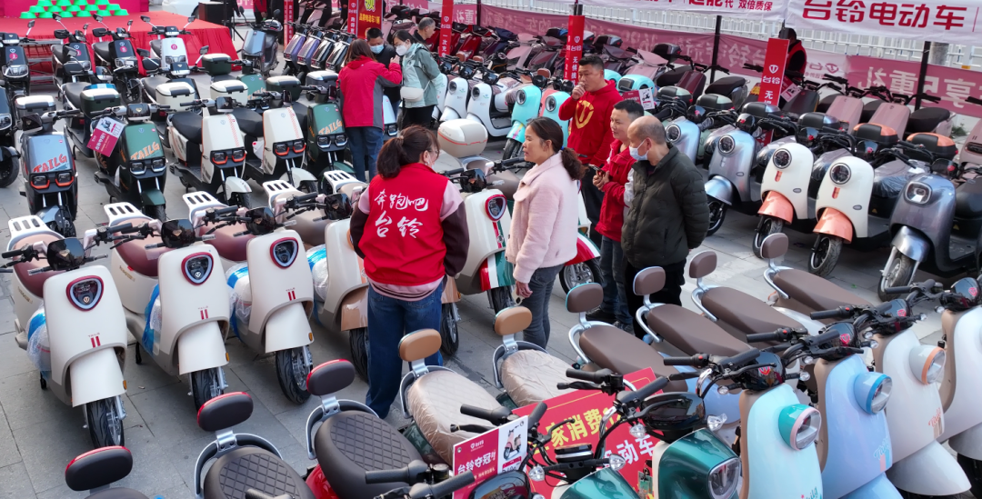 臺(tái)鈴電動(dòng)車(chē)