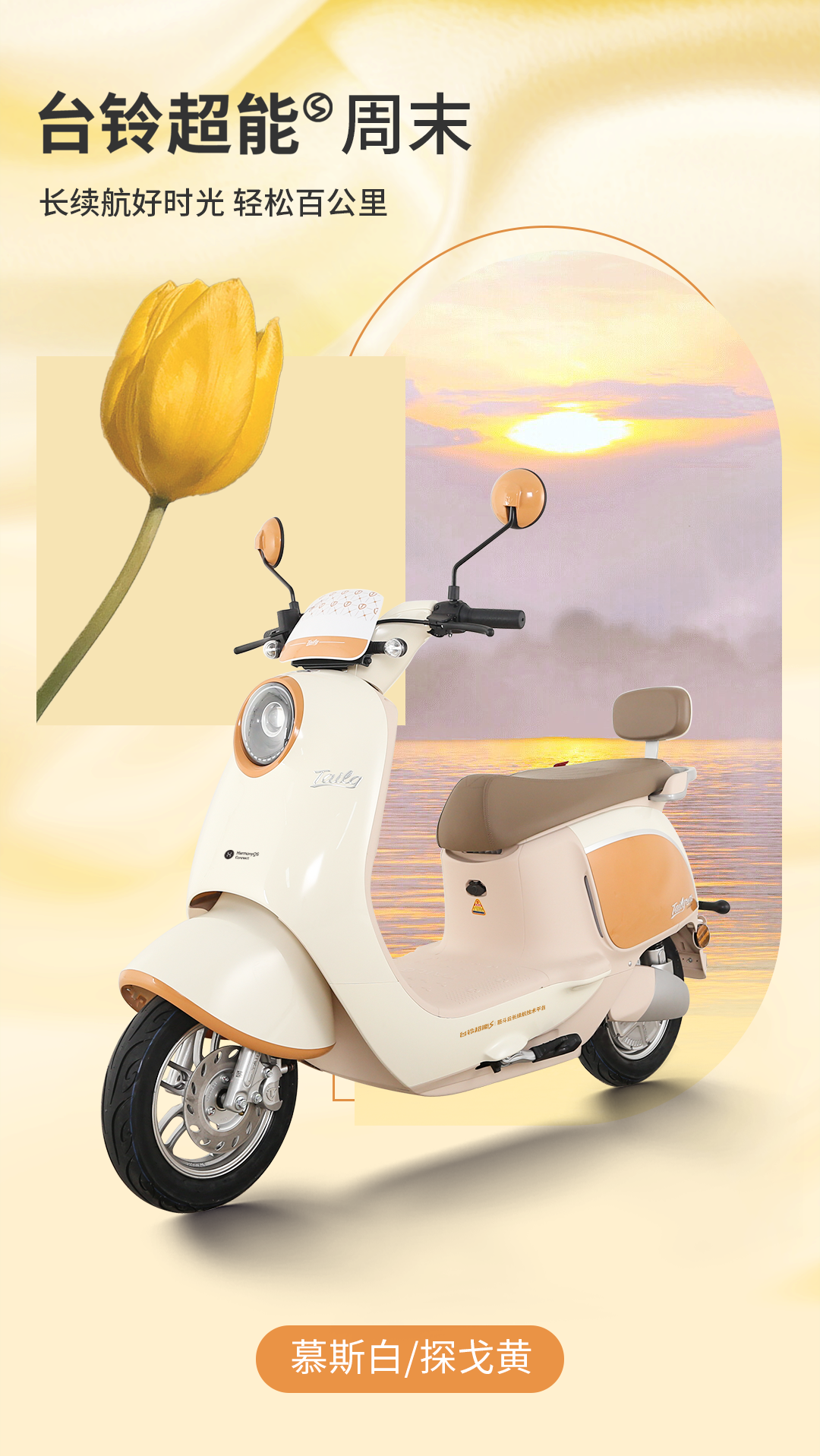 臺(tái)鈴長續(xù)航電動(dòng)車