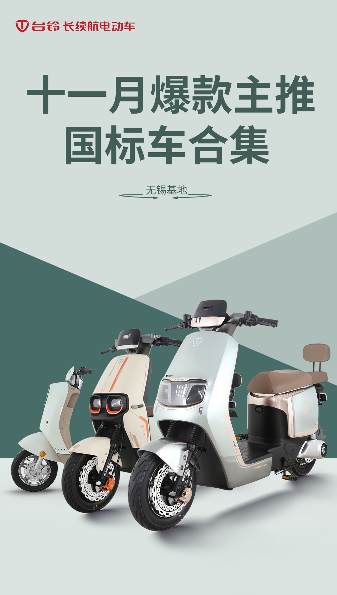 臺鈴長續(xù)航電動車