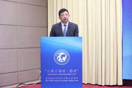 全速出海，臺鈴全球化再獲贊譽！
