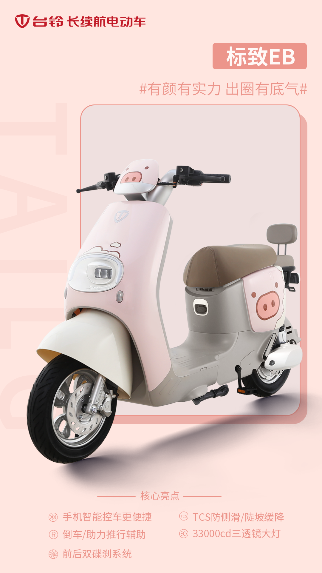 臺(tái)鈴長續(xù)航電動(dòng)車