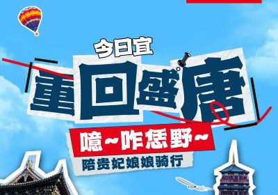 噫~起猛嘞，貴妃娘娘騎著臺鈴來洛陽撒歡了！