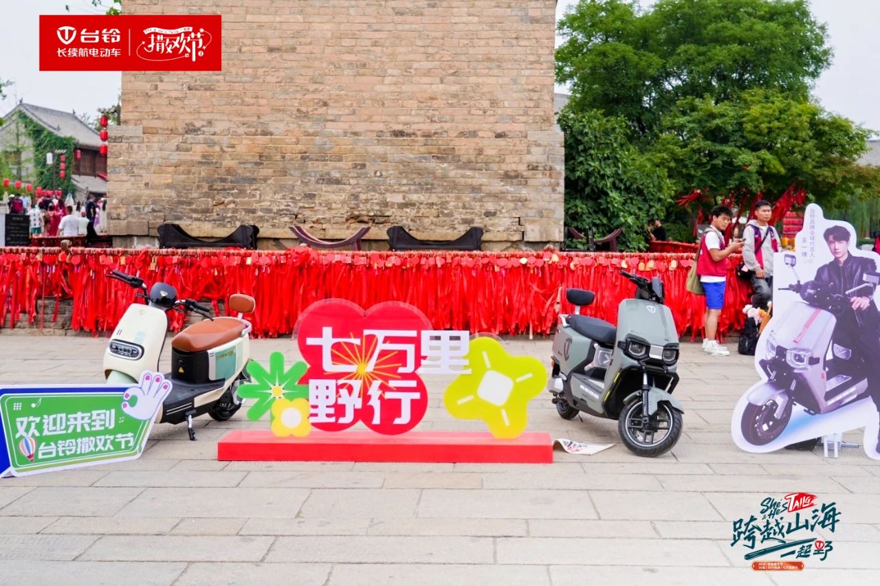 臺(tái)鈴長(zhǎng)續(xù)航電動(dòng)車